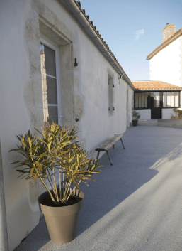 Plante le long d'un mur L'Arceau